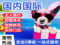 南通航空空运国际宠物托运 【国